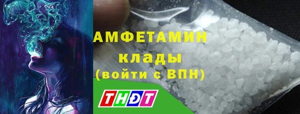 твердый Богданович