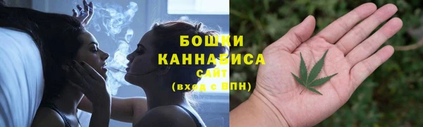 крисы Бородино