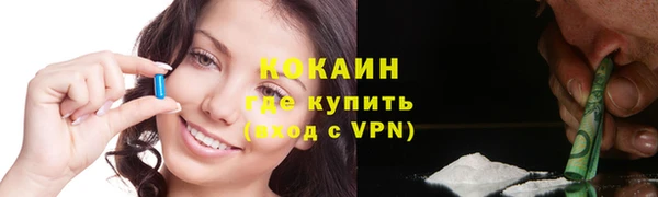 твердый Богданович