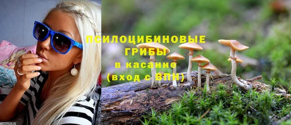 не бодяженный Богородицк