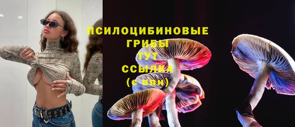 стаф Богородск