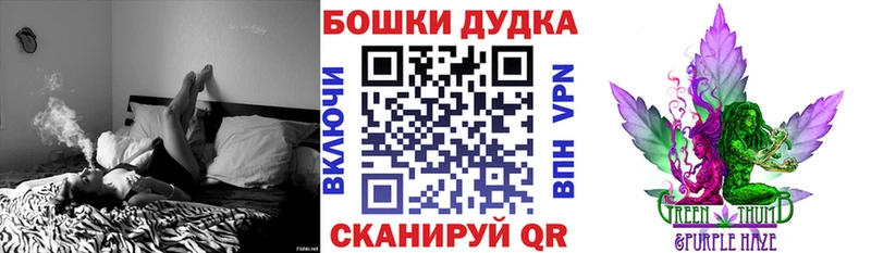 Бошки марихуана марихуана  где продают   Красавино 